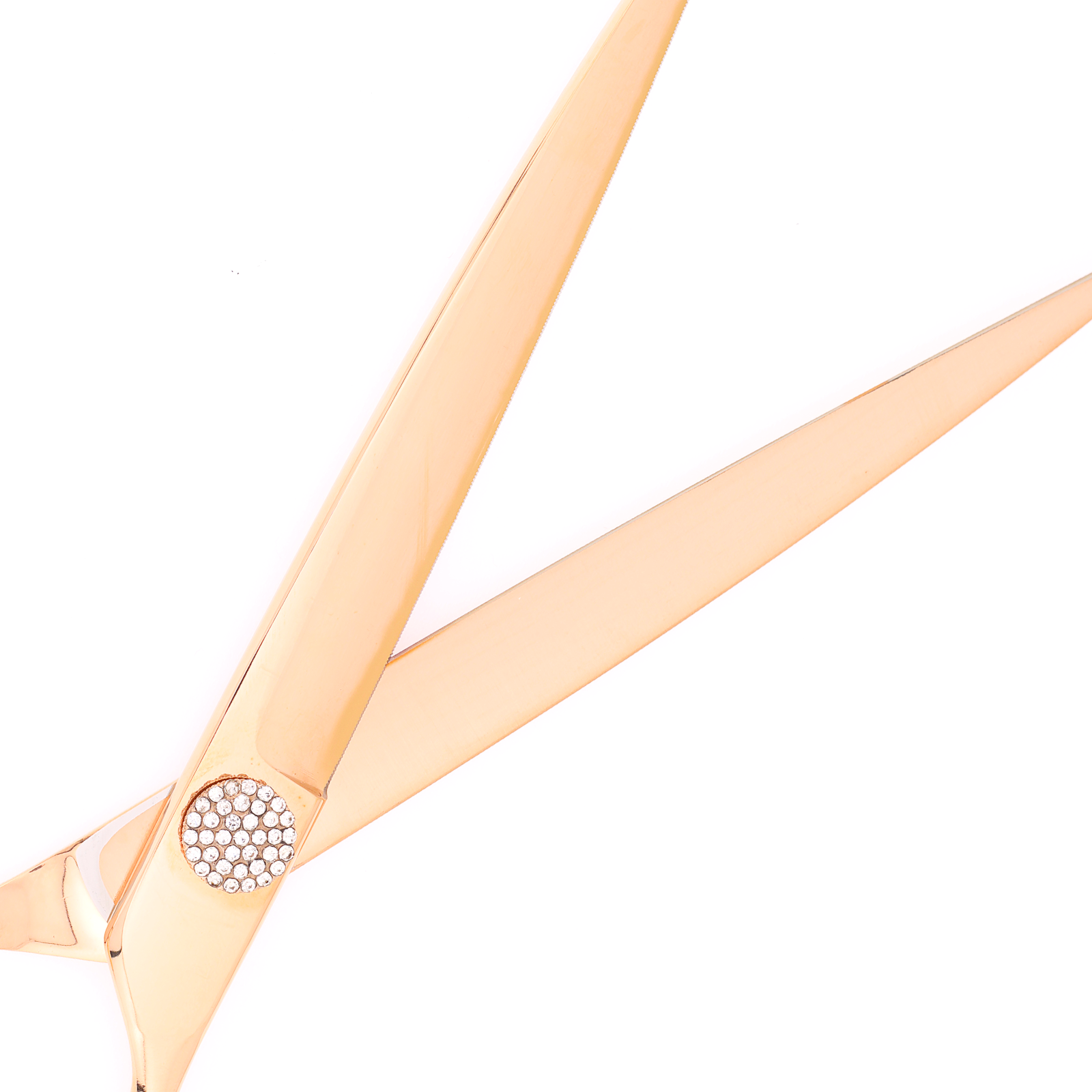 Titan Shears - Straight Rose Gold 440C Convex RH OFF 8" image 3